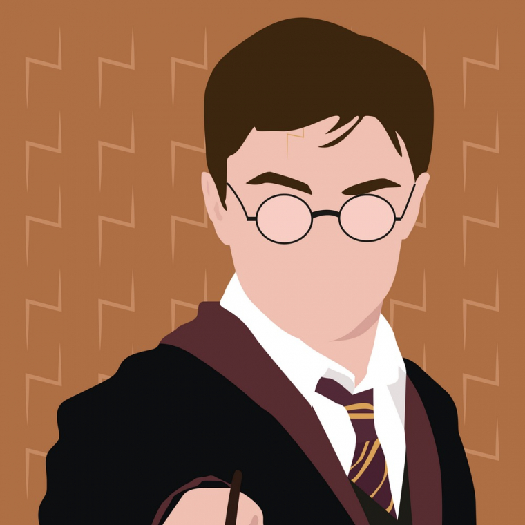 Harry Potter, Angoulme, Optique Saint Cybard